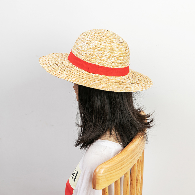قبعة قش للتنكر على طراز الأنمي - مراجعة One Piece Straw Hat وسعره